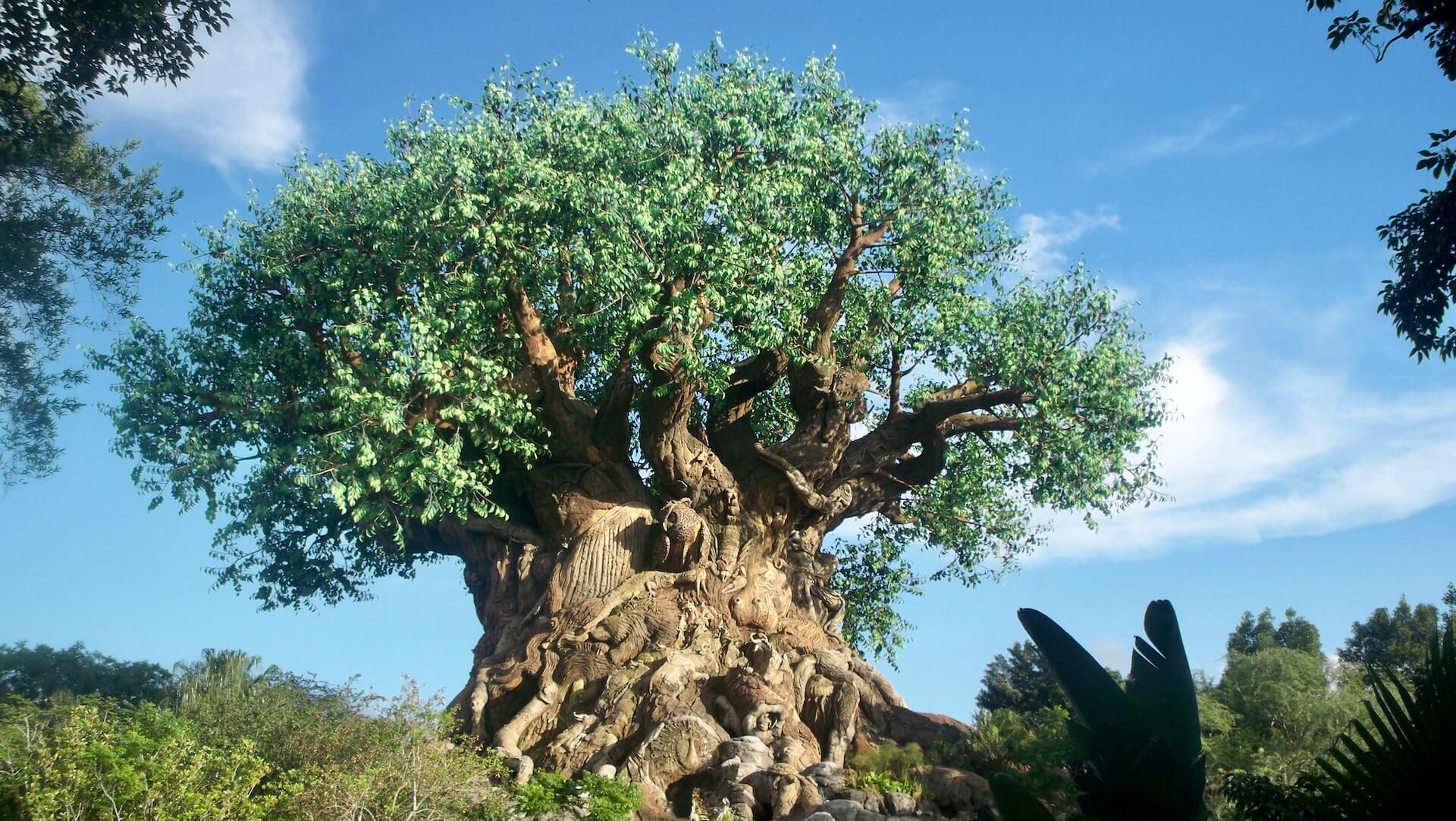 Animal Kingdom Tree of Life