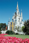 Disney World
